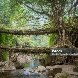 Double Decker Bridge